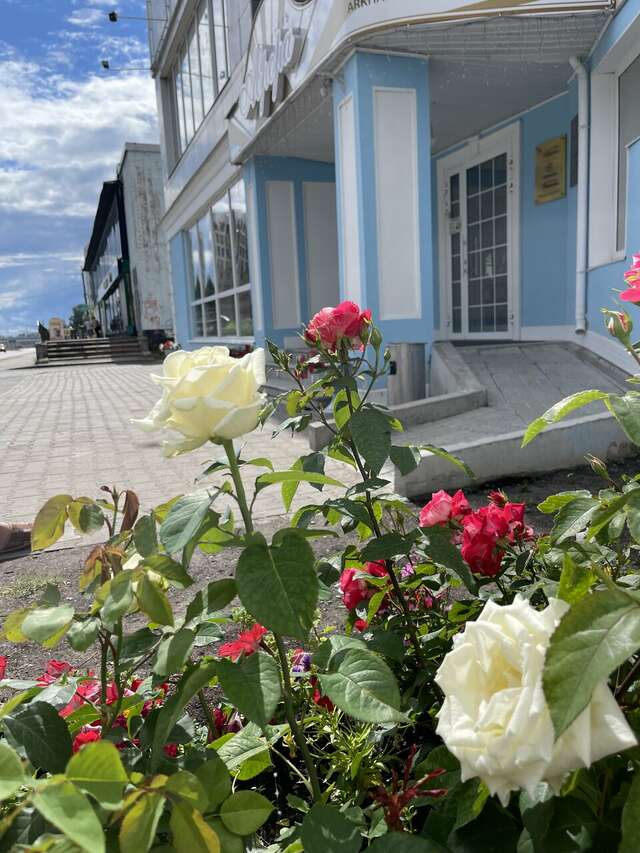 Отель Vega Архангельск-4